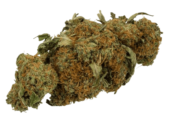 OG Kush